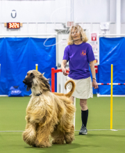 2025-7-13-July-Trial-37