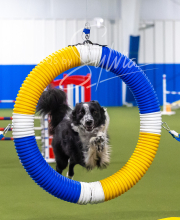 2025-7-13-July-Trial-370