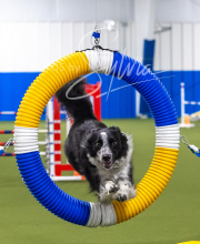 2025-7-13-July-Trial-371