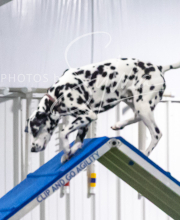 2025-7-13-July-Trial-377