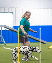 2025-7-13-July-Trial-379