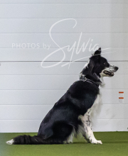 2025-7-13-July-Trial-386