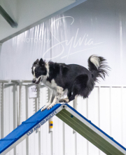 2025-7-13-July-Trial-389