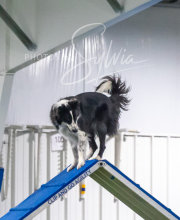 2025-7-13-July-Trial-390