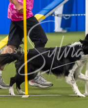 2025-7-13-July-Trial-398