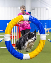 2025-7-13-July-Trial-403