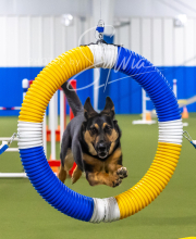 2025-7-13-July-Trial-417