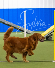 2025-7-13-July-Trial-425