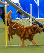 2025-7-13-July-Trial-428