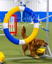 2025-7-13-July-Trial-433