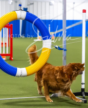 2025-7-13-July-Trial-435