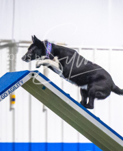 2025-7-13-July-Trial-437