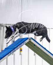 2025-7-13-July-Trial-439