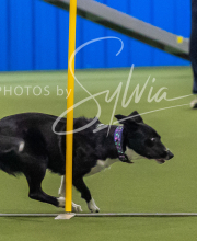 2025-7-13-July-Trial-443