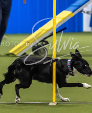 2025-7-13-July-Trial-445