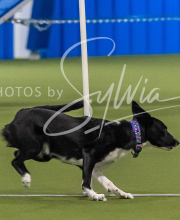 2025-7-13-July-Trial-447