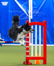 2025-7-13-July-Trial-45