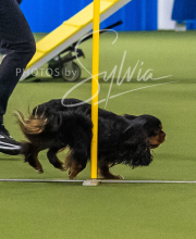 2025-7-13-July-Trial-462