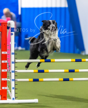 2025-7-13-July-Trial-47