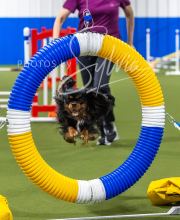 2025-7-13-July-Trial-472