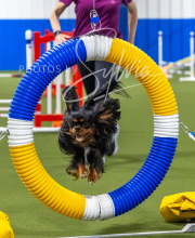 2025-7-13-July-Trial-473