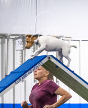 2025-7-13-July-Trial-477