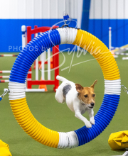 2025-7-13-July-Trial-492