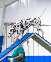 2025-7-13-July-Trial-495