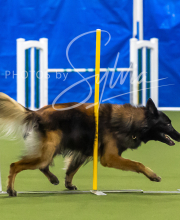 2025-7-13-July-Trial-5