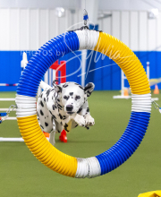 2025-7-13-July-Trial-503