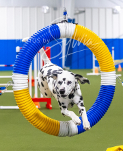 2025-7-13-July-Trial-504