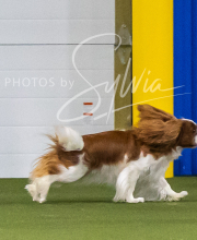 2025-7-13-July-Trial-506