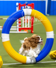 2025-7-13-July-Trial-520