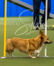 2025-7-13-July-Trial-532