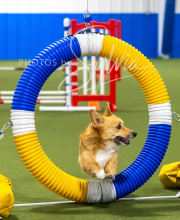 2025-7-13-July-Trial-541