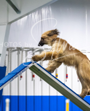 2025-7-13-July-Trial-549