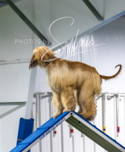 2025-7-13-July-Trial-551