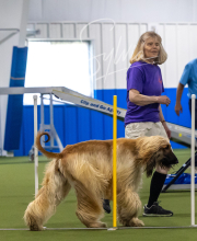 2025-7-13-July-Trial-554