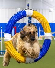 2025-7-13-July-Trial-564