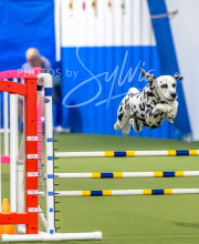 2025-7-13-July-Trial-57