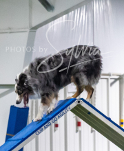 2025-7-13-July-Trial-576