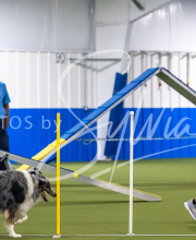 2025-7-13-July-Trial-580