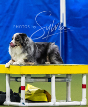 2025-7-13-July-Trial-584