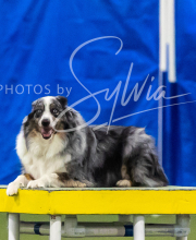 2025-7-13-July-Trial-585