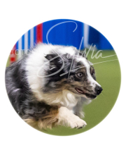 2025-7-13-July-Trial-590