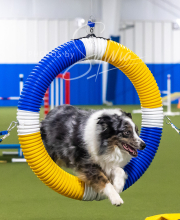 2025-7-13-July-Trial-591