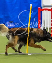 2025-7-13-July-Trial-6