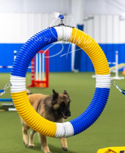 2025-7-13-July-Trial-606