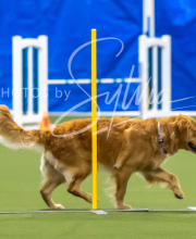 2025-7-13-July-Trial-61