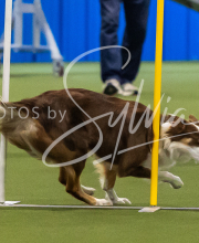 2025-7-13-July-Trial-626